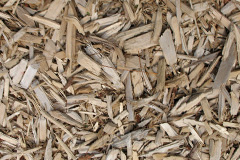 biomass boilers Maxstoke